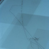 Dancer_2 (detail)