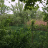 site
